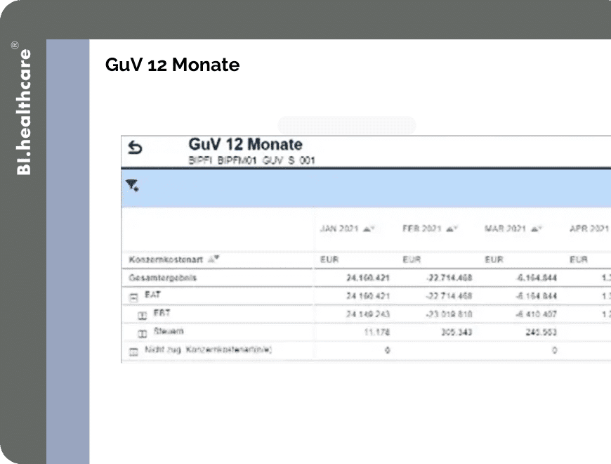 GuV 12 Monate