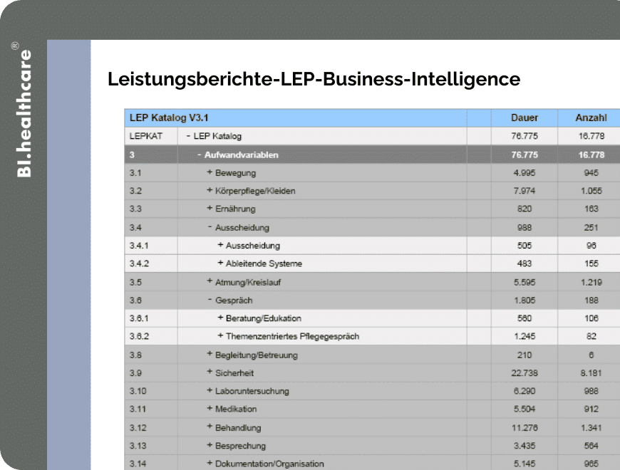 Leistungsberichte-LEP-Business-Intelligence