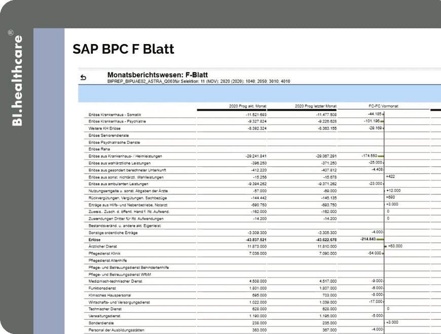 SAP BPC F Blatt